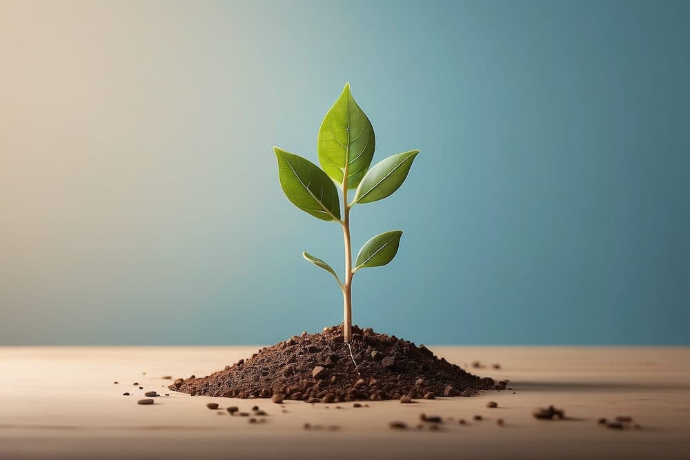 Thriving seedling symbolizing a growth mindset