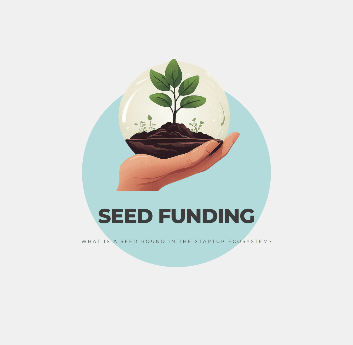 What is a Seed Round in the Startup Ecosystem